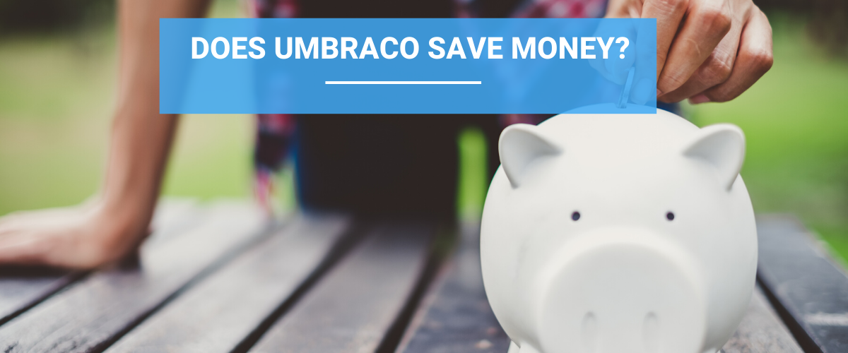 Does Umbraco Save Money?