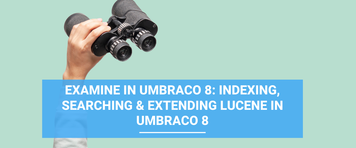 Examine in Umbraco 8